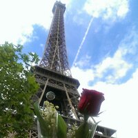 Noor Fawaz Al-Ali (@noor_fwz) Twitter profile photo