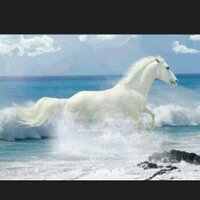 بدريه الصباح (@badriya_alsabah) 's Twitter Profile Photo بدريه الصباح (@badriya_alsabah) 's Twitter Profile Photo
