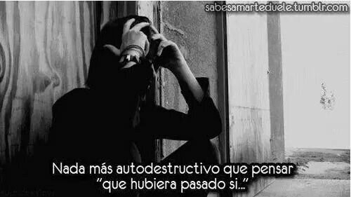 MeDoyAscoxc's profile picture. 