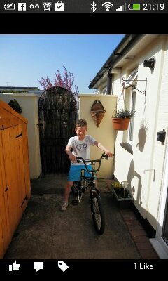 toreilly39's profile picture. 