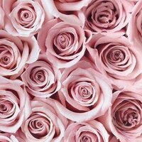 GRA DOS SANTOS (@gra2santos) 's Twitter Profile Photo