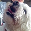 Daisy Odell - @DaisyMayOdell - Twitter