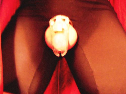 If my queen is pursued by, makes herself available to, and is frequently fucked by other men, it will introduces a competition for me to treat her right.