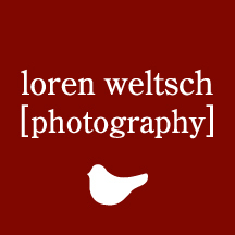 lorenwphoto's profile picture. photographer, mom, friend, wife, sister, daughter...not necessarily in that order.