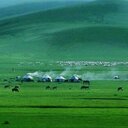 miroğlu (@57df375acb4749e) Twitter