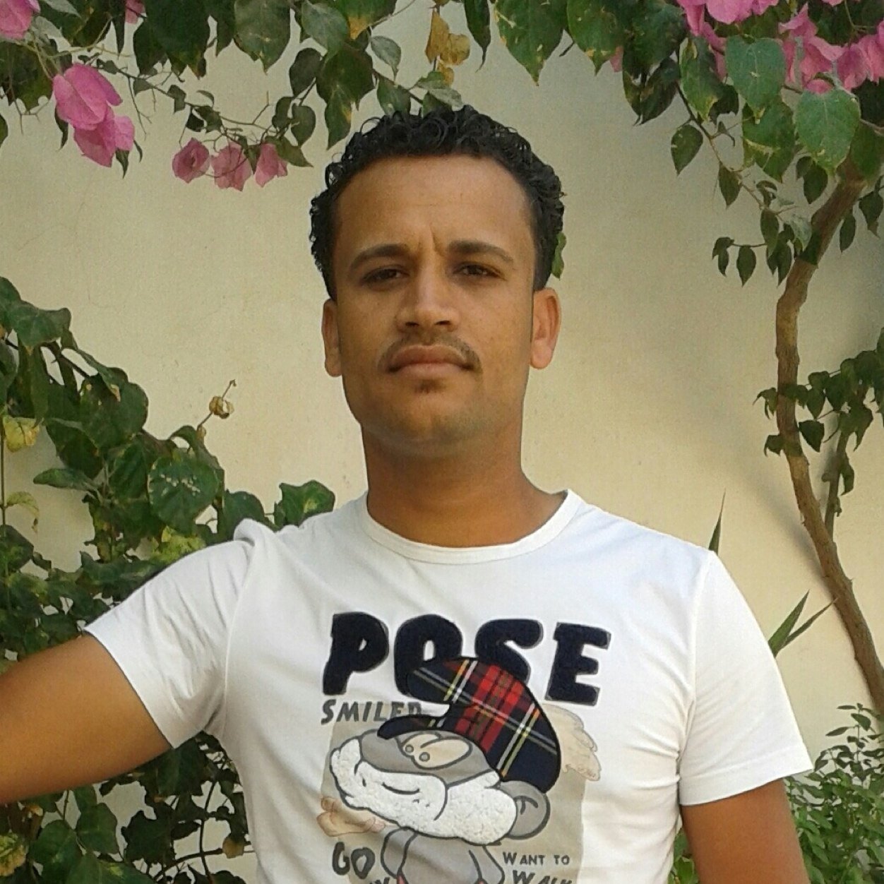 hamedusha's profile picture. 