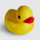 Anna Everly - @AEverly14 - Twitter