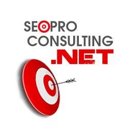 Professional Web Development & Search Engine Optimization Services