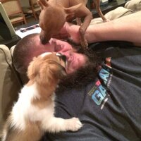 Brian Silva (@bigc_33) 's Twitter Profile