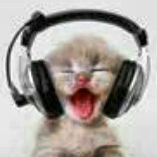 dylangarrciamor's profile picture. Experto en fútbol y en videojuegos y tengo una gran curiosidad sobre los secretos del universo. Aguante México