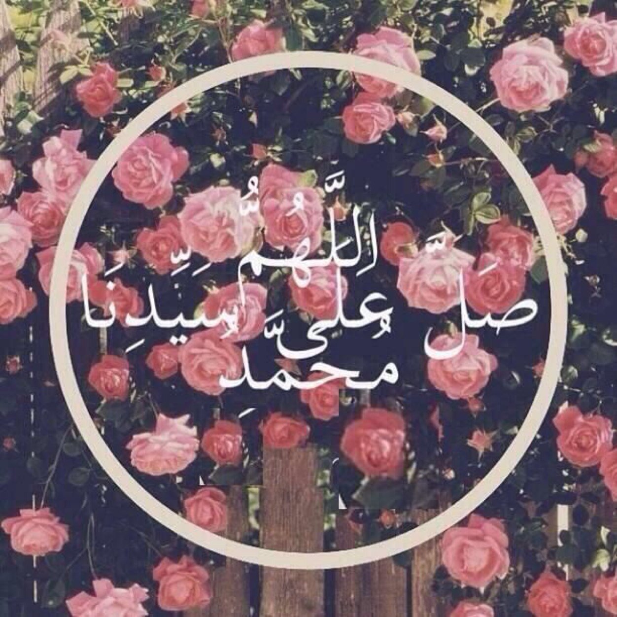 متفائلهّ وفي داخليِ وطّن مليء .. بالامنيِات اكبِرها الجنّه ˹ ✿❀آٓسْتغفّر آللّھ وأتٓوب إلِيھ} ......