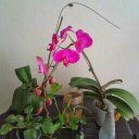 Tracey Mims - @MimsTracey - Twitter