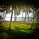 D. Glen Alexander - @dglenalexander - Twitter