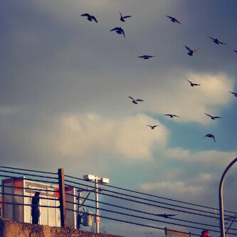 ﯾﺎﻋﺎزف ﺎﻟﻋود ﻟاﺗﻗﺳي ﻋﻟى ﺎﯙﺗﺎرﮪۃ♫˛♫˛                      ﺎرﻓق ﺑﺣﺎل ﺎﻟﺟرﯾح وﻗدر ﺷﻋورﮪۃ. ♫˛♫˛