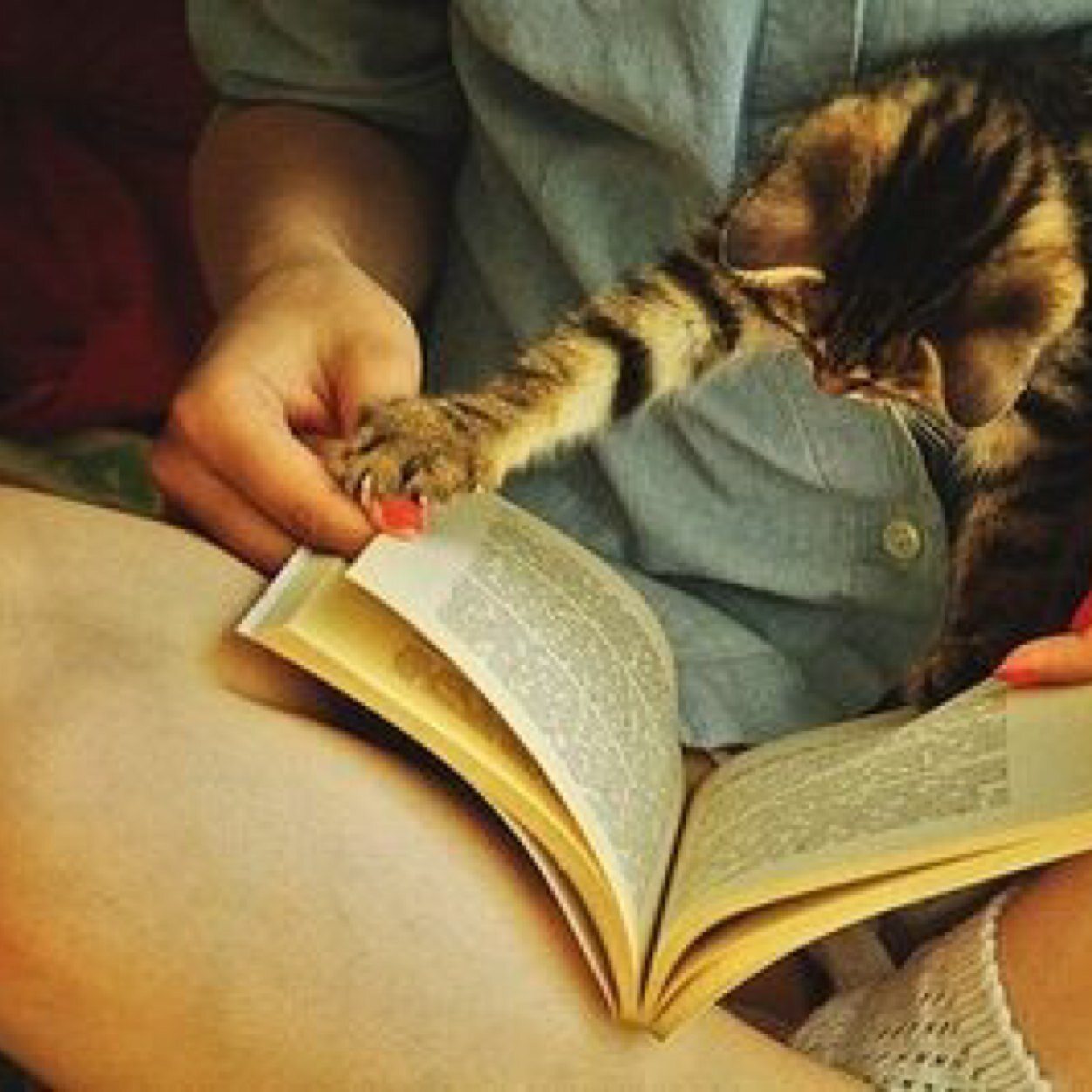 My name is 이만 .. I love #one_piece .. #Cats .. 
#Kpop .. I am 18 years old .. Please be nice with me ☺️❤️