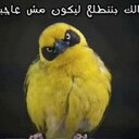 bashar badawi - @bisho_o8 - Twitter