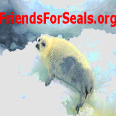 FriendsForSealsOrg Ⓥ Profile