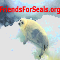 Assoc Prodcr film 'Saimaa Seal' / Ofc'l Tweets #FriendsForSeals.org , Fighting Canada's annual #fur #sealhunt by commercial fishermen.
Like us on FB