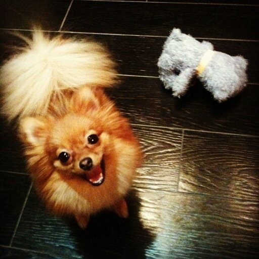 simorev's profile picture. 