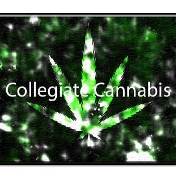 Collegiate students for medicinal cannabis.
