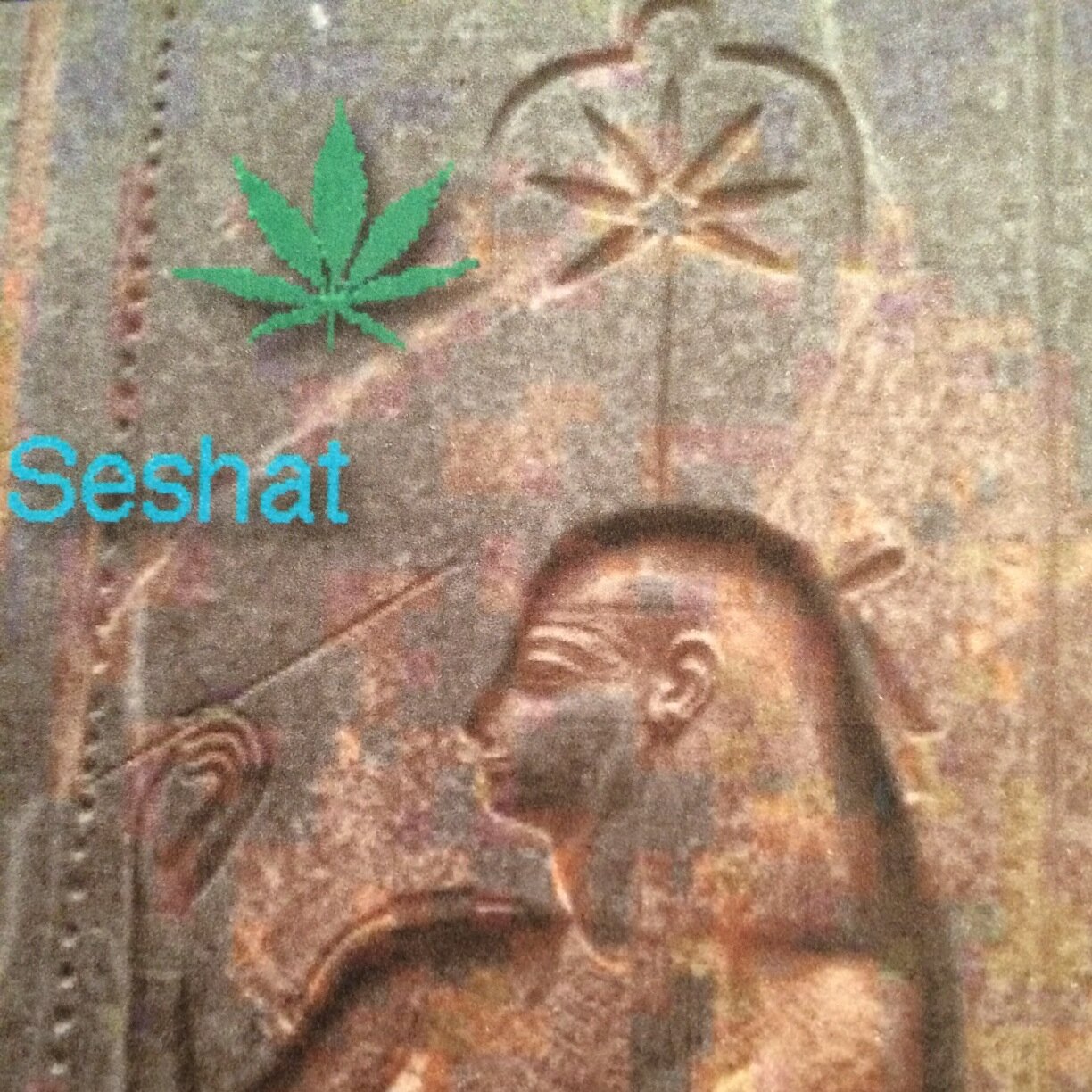 Dave Delivers MMJ All Day Long!