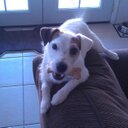 Dan Gunderson - @dang6369 - Twitter