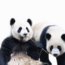 Elaine Priem - @EllyMayPrr - Twitter