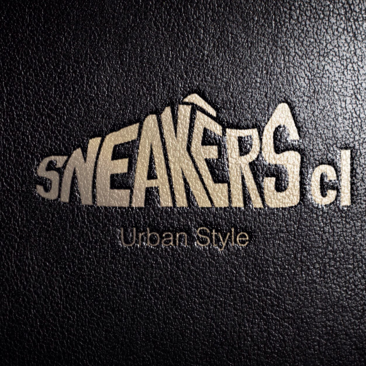 SneakersCL's profile picture. Info y review de los últimos modelos, tendencias y lanzamientos de las marcas más destacadas del mundo. Cultura #Sneaker #Streetwear y #Lifestyle.