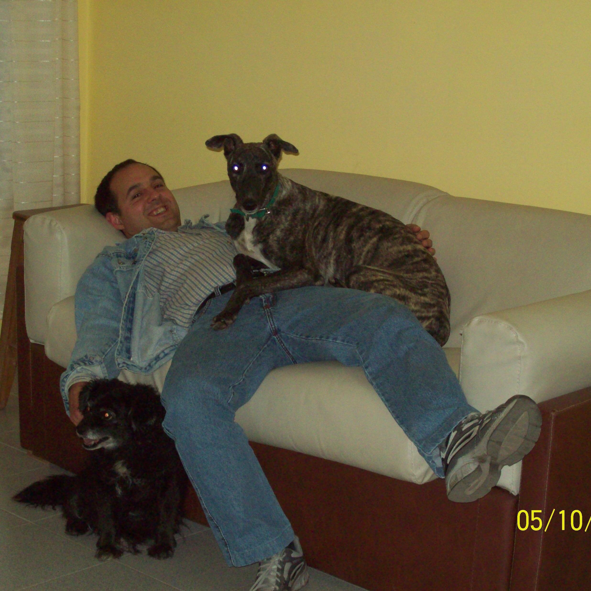 LucasMC_1980's profile picture. Chemistry, married, no children, two dogs, Glasgow Celtic fan in Argentina. Éirean, the wolfe tones are great!