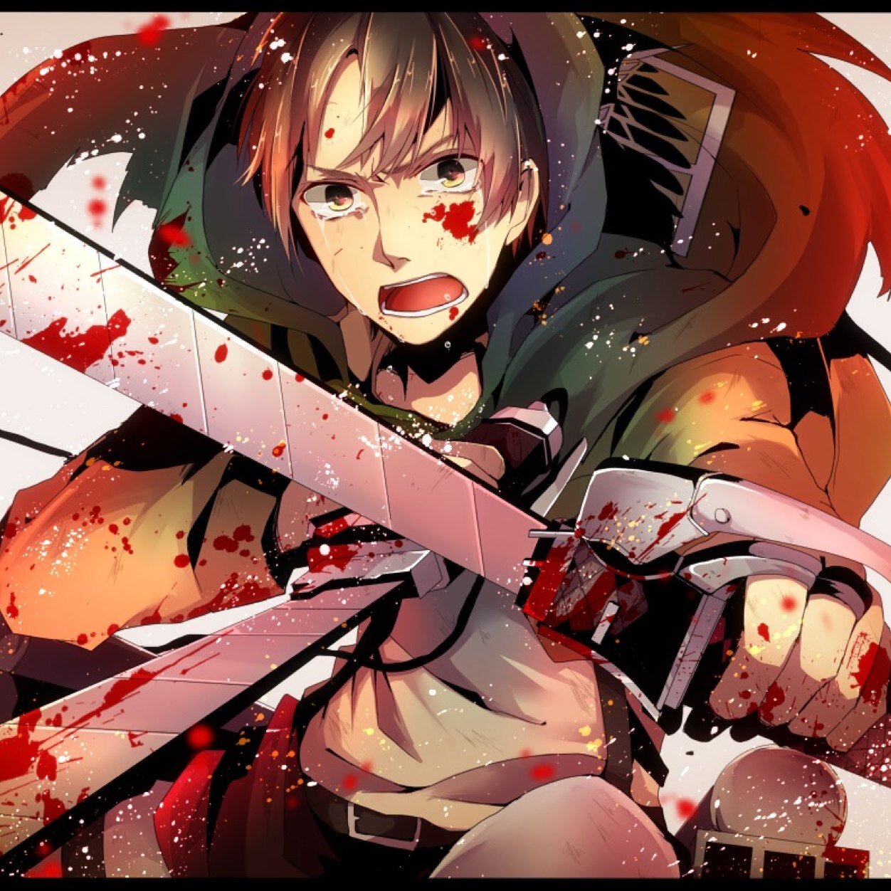 My life was destroyed on 845. Now a member of the Survey Corps. I will make sure that I will kill all the Titans. //#SnK #RP +18