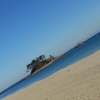 대한민국 (@kill206) 's Twitter Profile