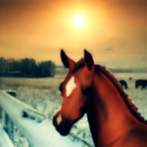Equestrian • Gamer • Photography • Art