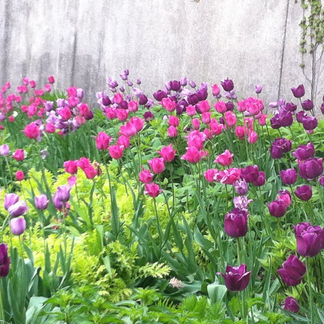 AmyNels82717759's profile picture. 