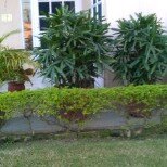 waveforms31's profile picture. 