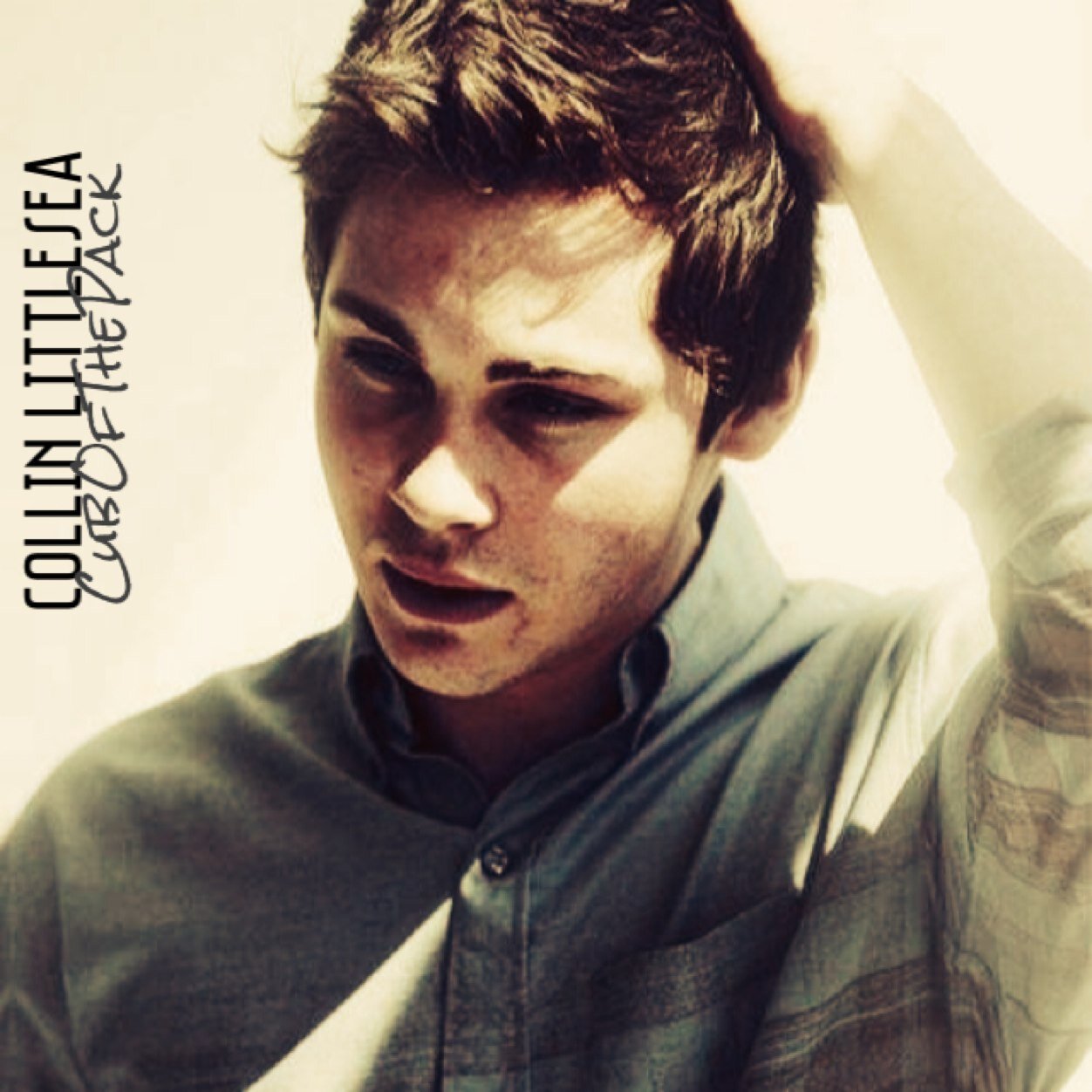 [Coming Soon] [#TwiAU] [#MERP] [#MatureRP] [OOC - @IHaveABlueHeart]