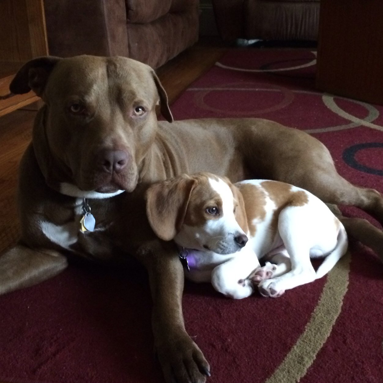 Mamichula10's profile picture. 