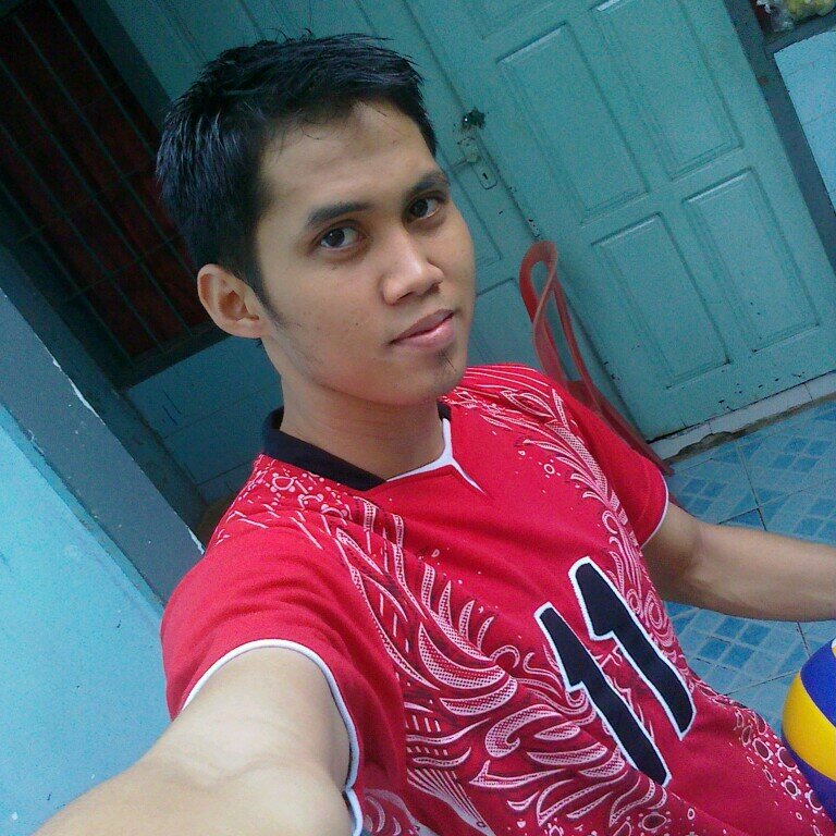 all about volly ball