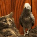 Mary Pete - @songster71 - Twitter