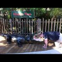 evan axel gustafson - @GustafsonEvan - Twitter