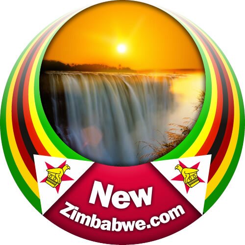 NewZimbabweCom Profile Picture