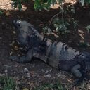 Liam Stuart - @Liam_Stuart_ - Twitter