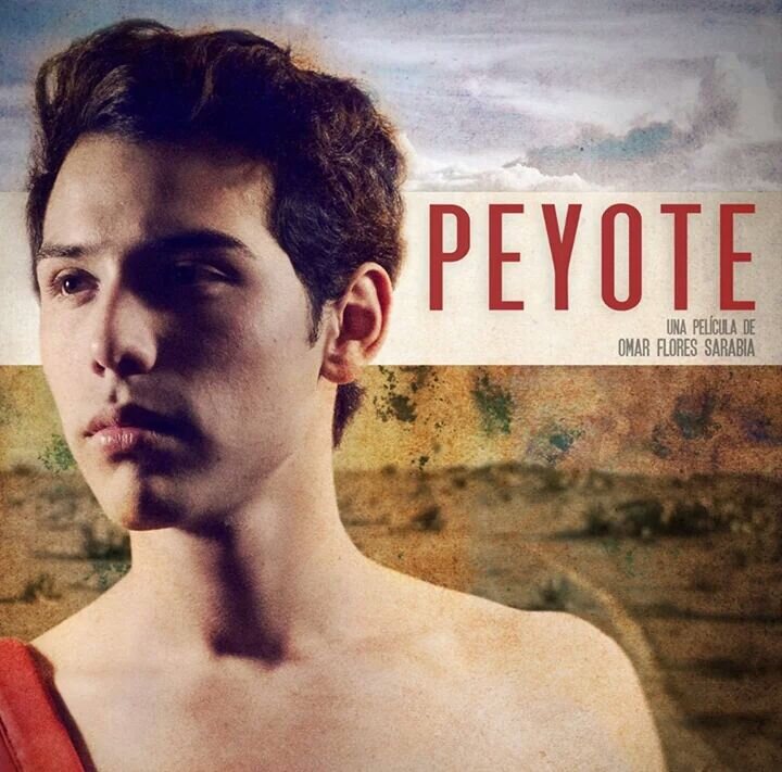 Película independiente mexicana que relata el viaje de dos hombres al desierto. Una aventura que cuestionará su vida y su sexualidad.