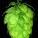 Robert Saling - @mrbeerfans - Twitter