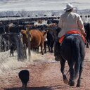 Rick March - @rmarch51 - Twitter