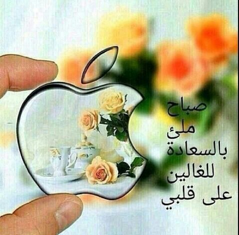 basela11ax's profile picture. اتالم وحيده فالظلم لايحس به الا من اصابه