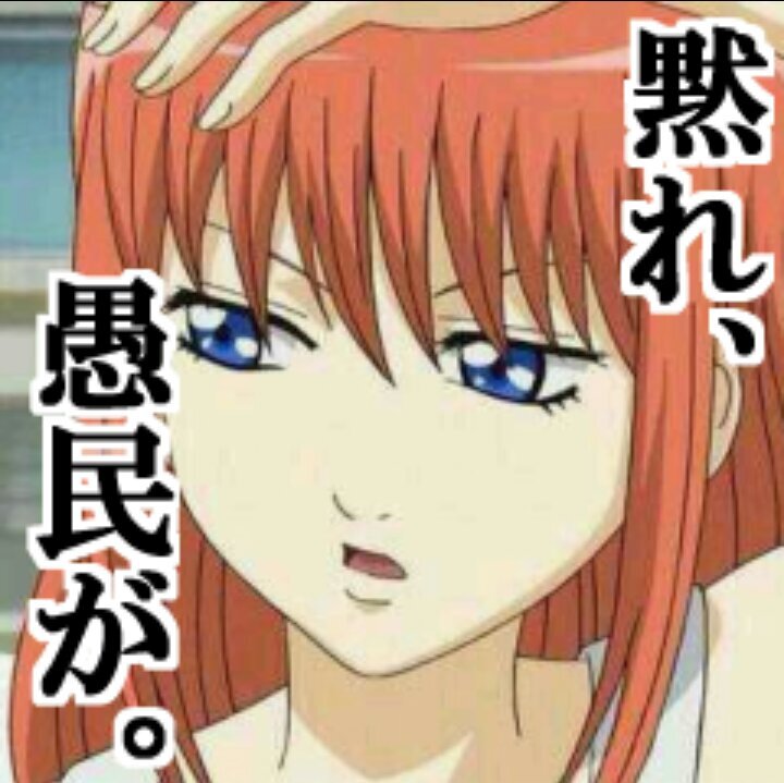 マジキチ寄ってこいよ 過激銀魂溺愛クラスタ└(:3」┌)┘社会人３年目