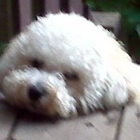 Heidi (@1destinationwed) 's Twitter Profile Photo