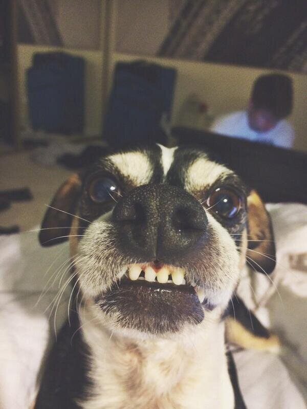 InJcsHeart's profile picture. ¤Baby i'm cråzy In Love with you¤