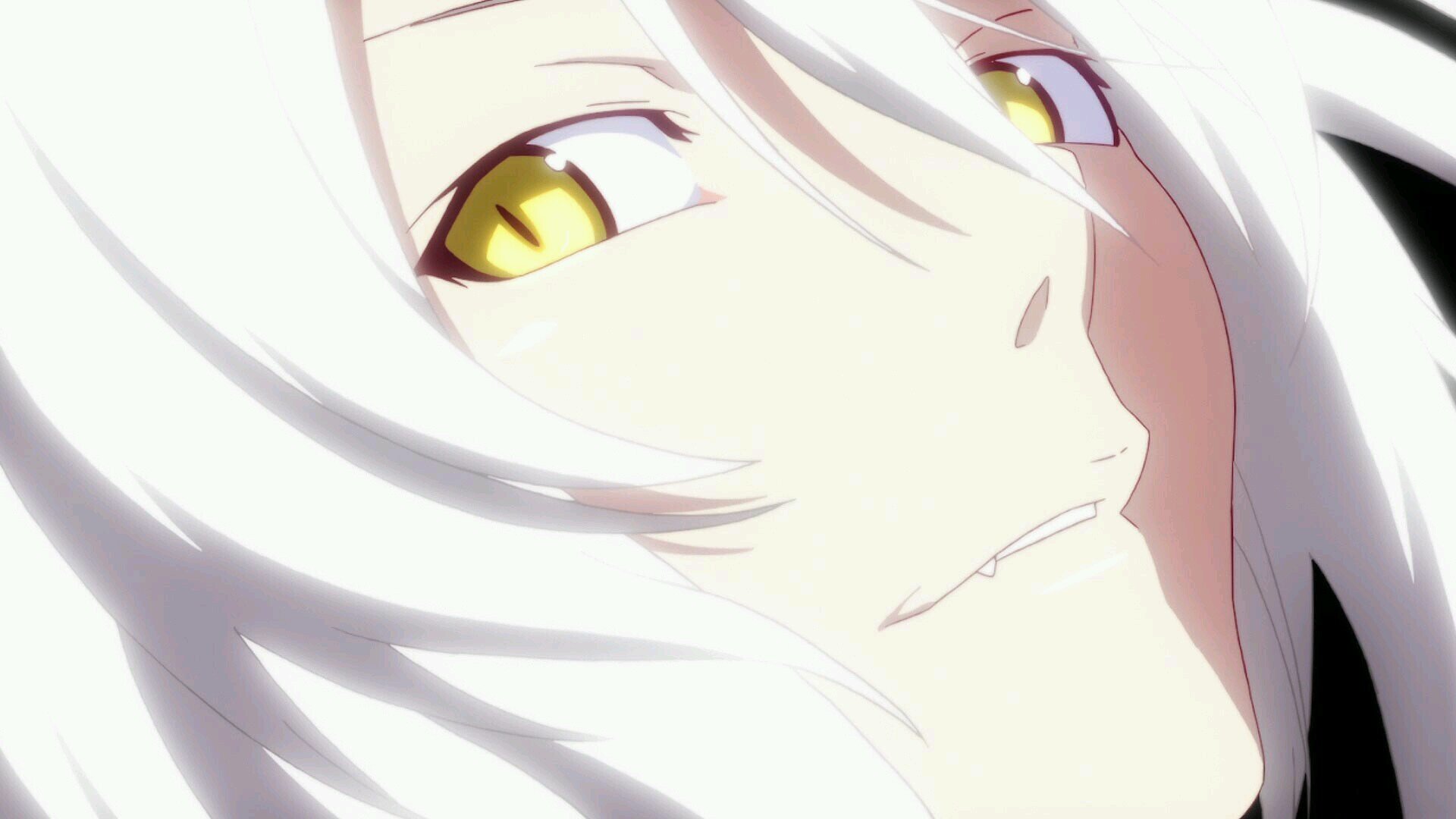 25↑夢女成人済のSAO/桃組+戦記/ｻｲｺﾊﾟｽ/物語/銀魂/ﾘﾎﾞｰﾝ/呪術/猫/人型人外好き一歩踏み出せない系社会人/最近ライブ出没 無言ﾌｫﾛｰしてごめんなさい 気軽に声かけドゾヾ(⌒(ﾉ'ω')ﾉ 支部に書物有