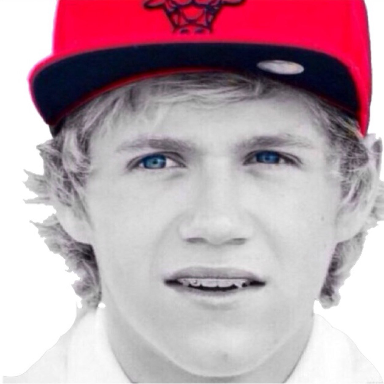 niall_tmk's profile picture. Japanese/directioner/JK3/Tokyo